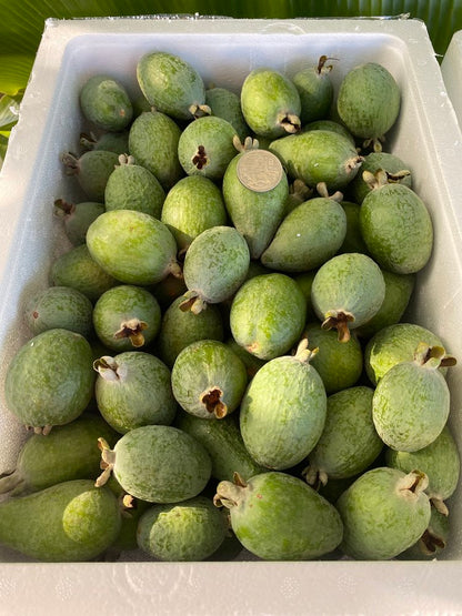 FEIJOA 5KG