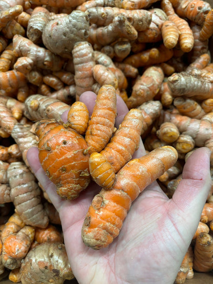 Turmeric