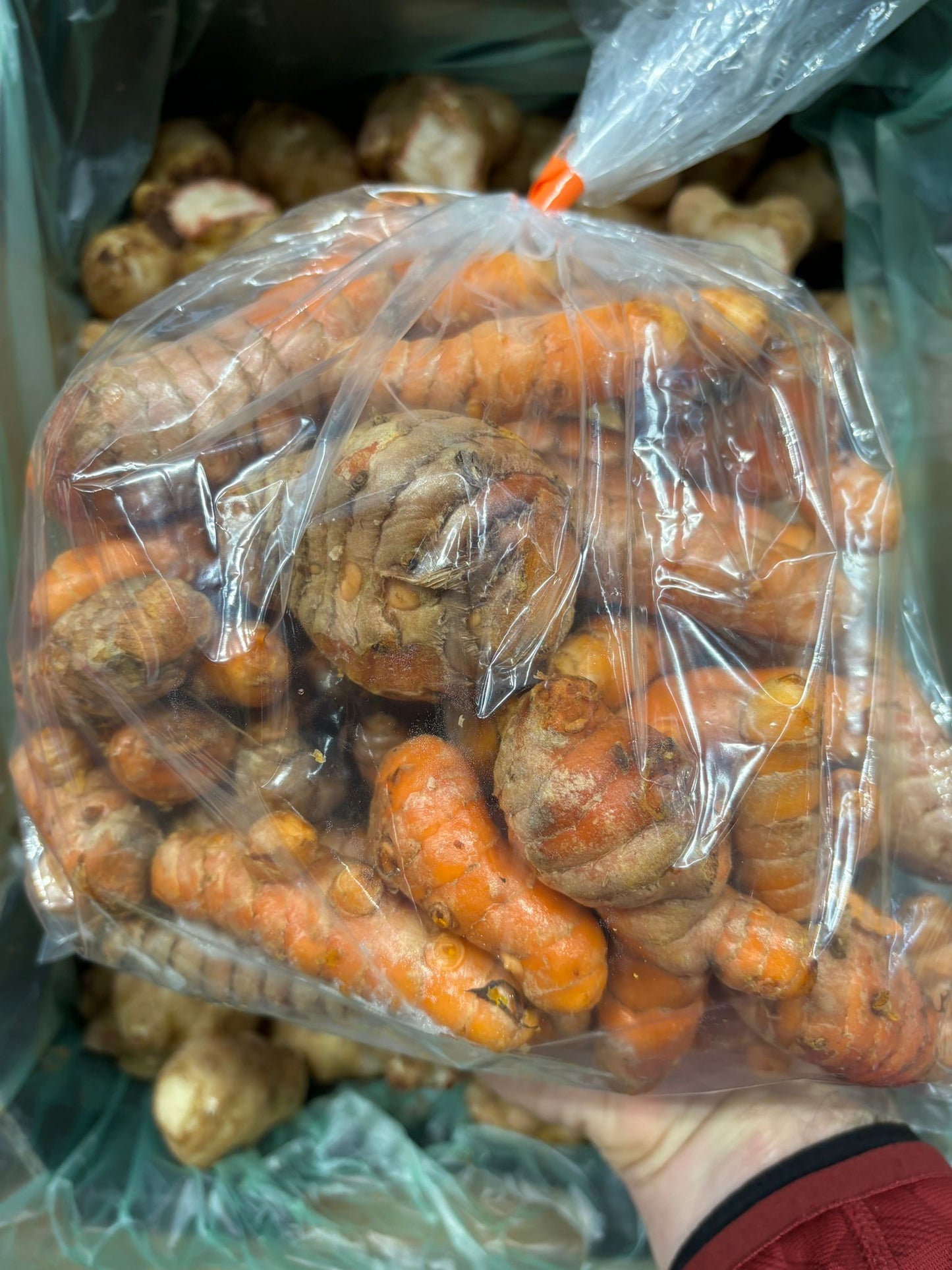 Turmeric